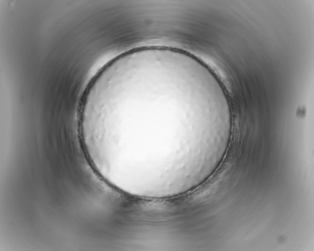 X0000090450998200708102045