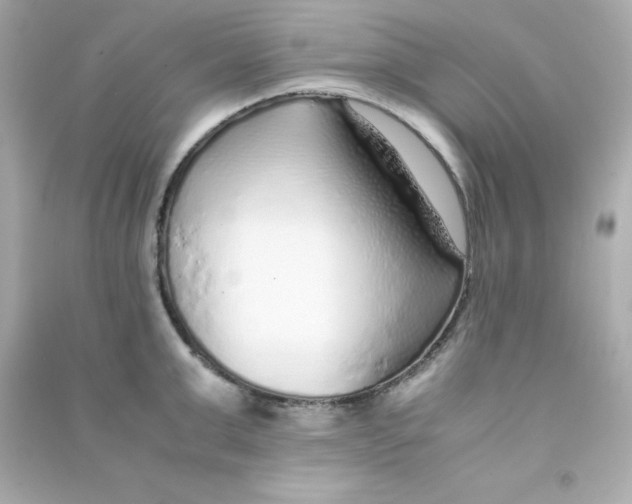 X0000090450999200708102045