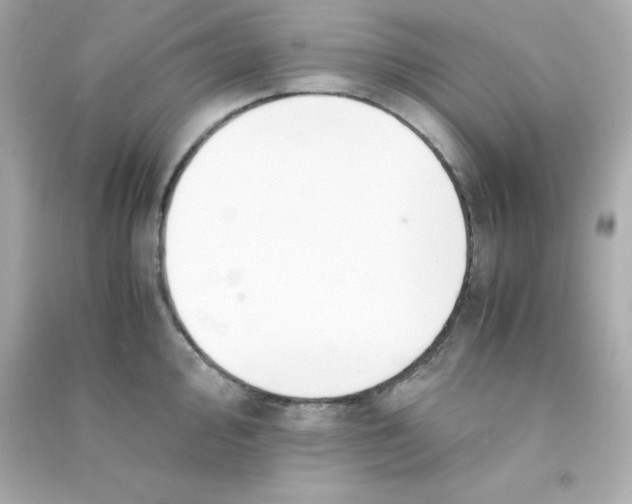 X0000090451000200708102045