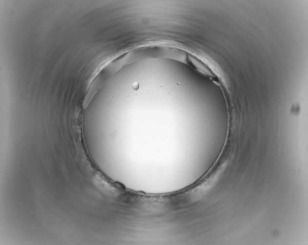 X0000090451001200708102045