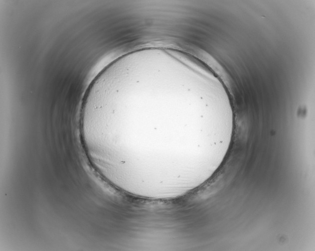 X0000090451002200708102045