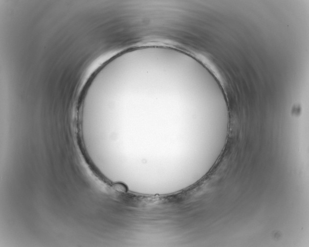 X0000090451003200708102045