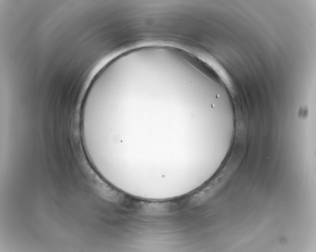 X0000090451004200708102045