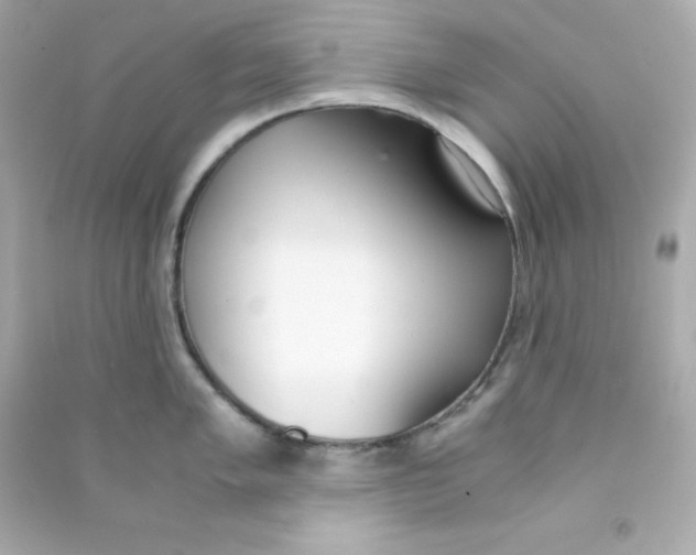 X0000090451005200708102045