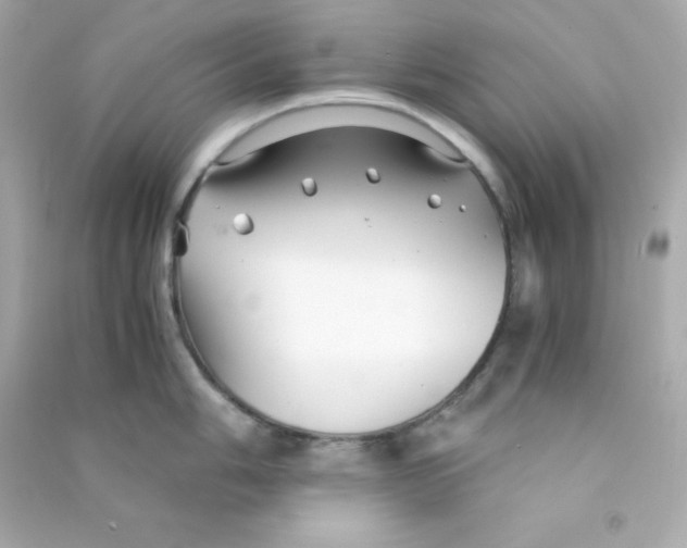 X0000090451006200708102045