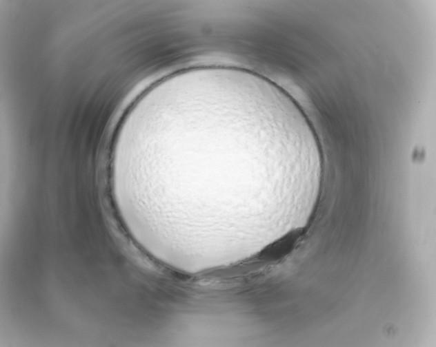 X0000090451008200708102045