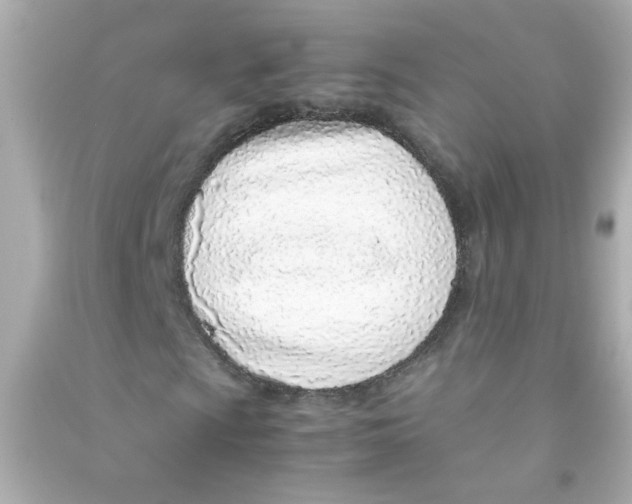 X0000090451009200708102044