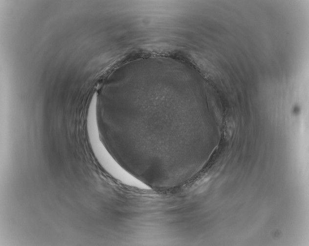 X0000090451010200708102044