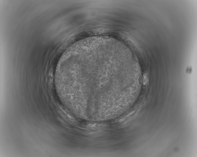 X0000090451011200708102044