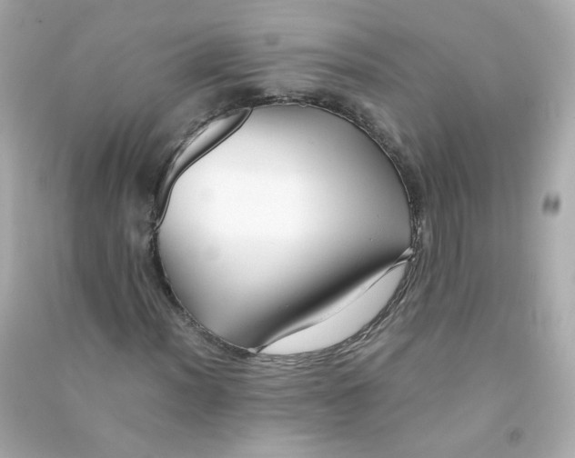 X0000090451012200708102044