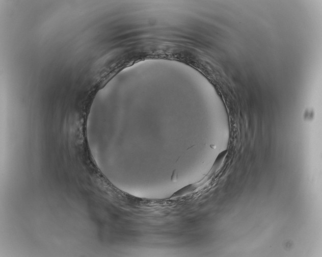 X0000090451013200708102044