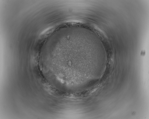 X0000090451014200708102044