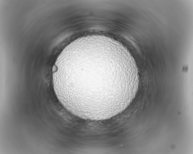 X0000090451015200708102044