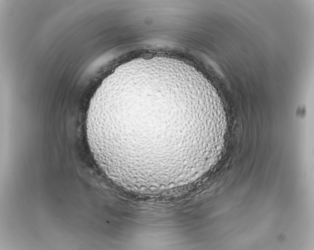 X0000090451016200708102044