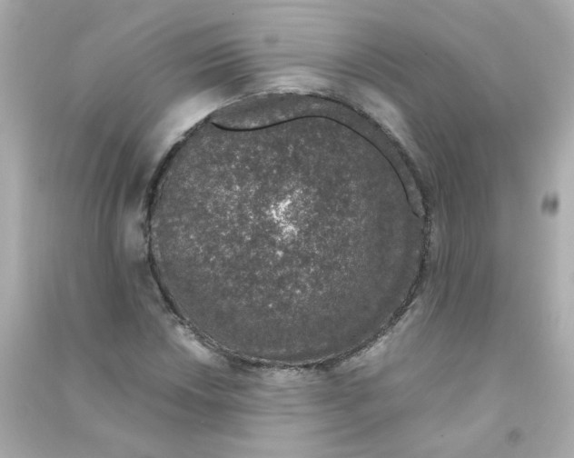 X0000090451018200708102044