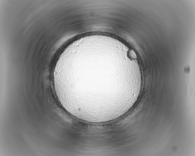 X0000090451019200708102044