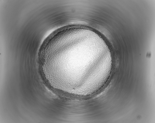 X0000090451022200708102044