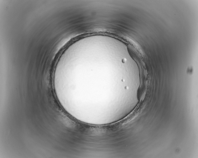 X0000090451023200708102044