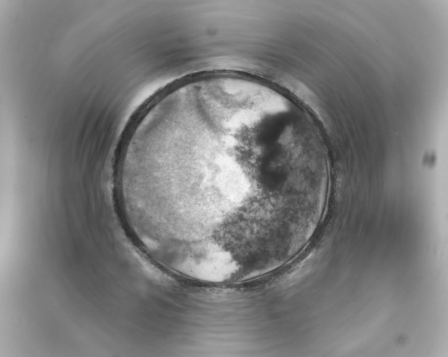 X0000090451024200708102044