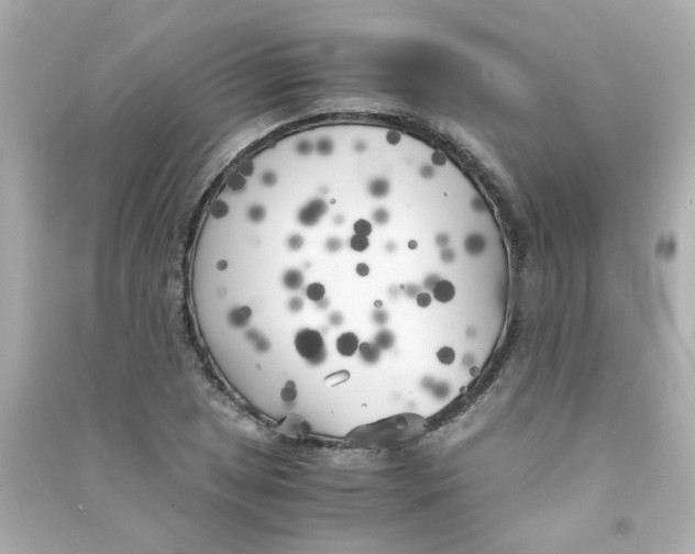 X0000090451025200708102044