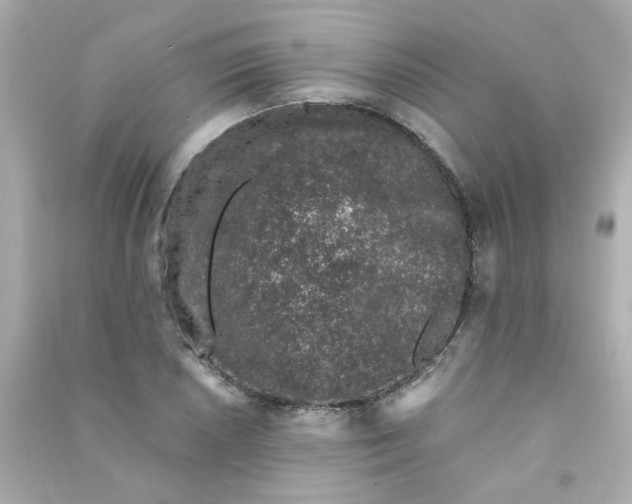 X0000090451026200708102044