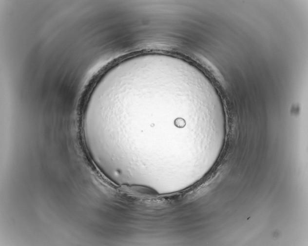 X0000090451027200708102045