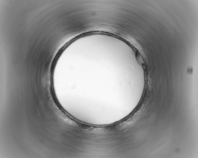 X0000090451028200708102045