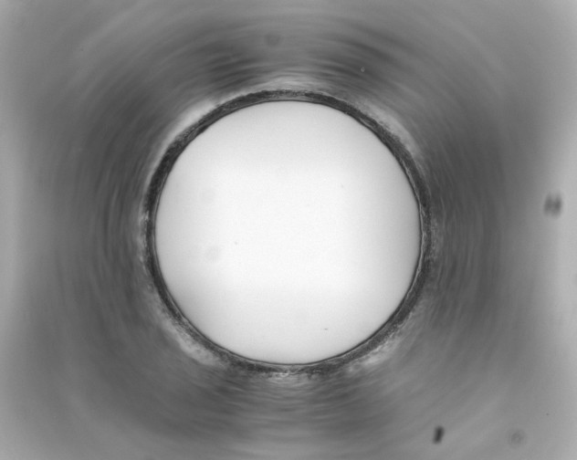 X0000090451029200708102045