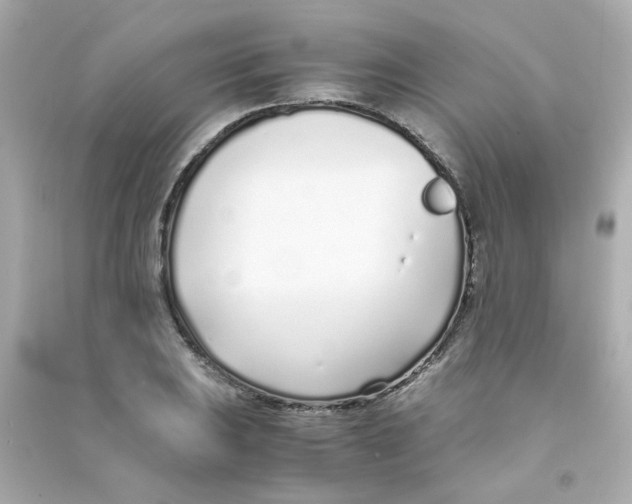 X0000090451031200708102045