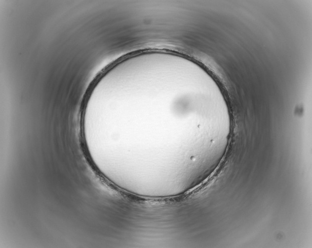 X0000090451032200708102045