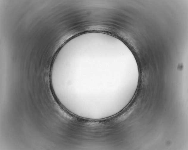 X0000090451033200708102045