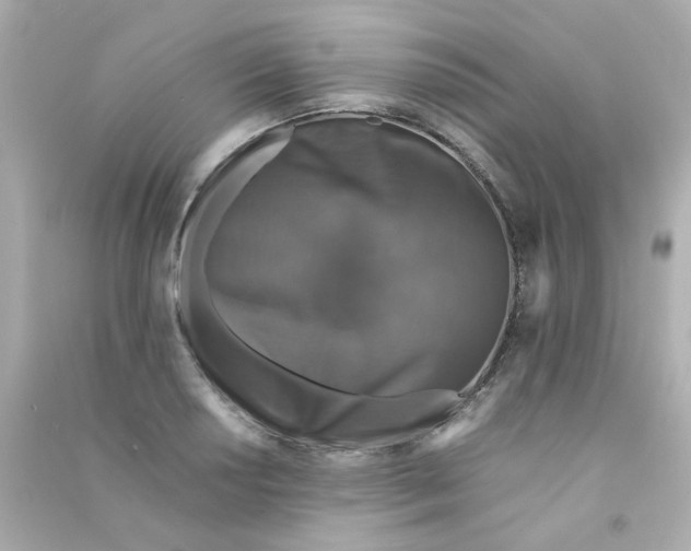 X0000090451034200708102045