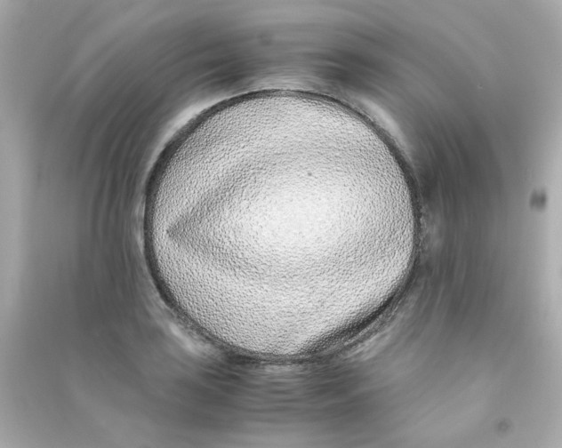 X0000090451035200708102045