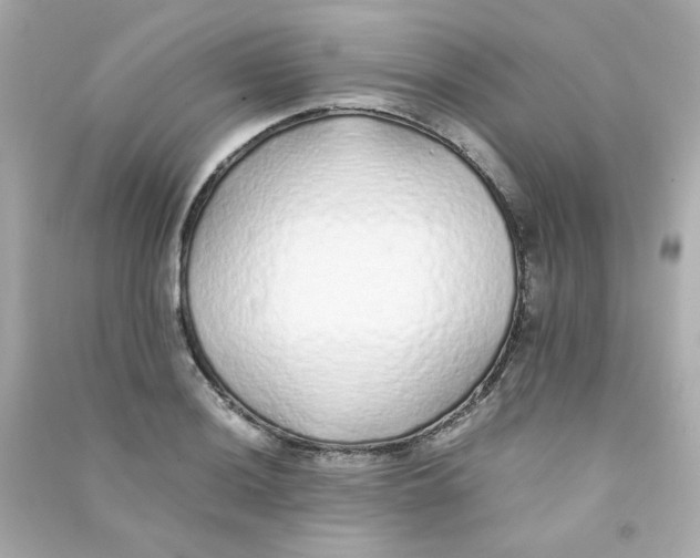 X0000090451036200708102045