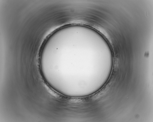 X0000090451037200708102045