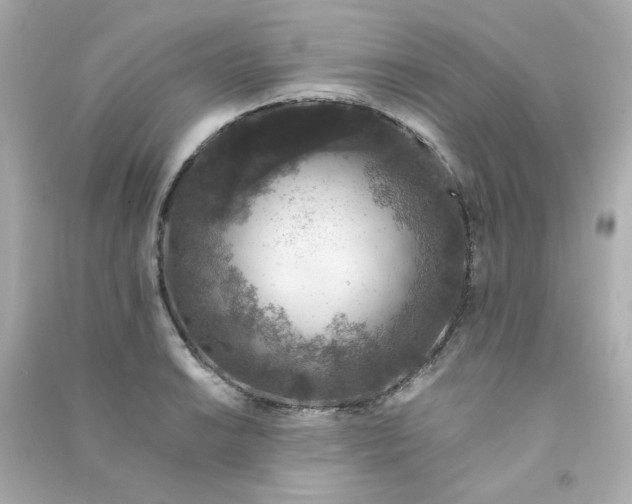 X0000090451038200708102045