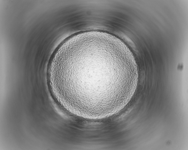 X0000090451039200708102045