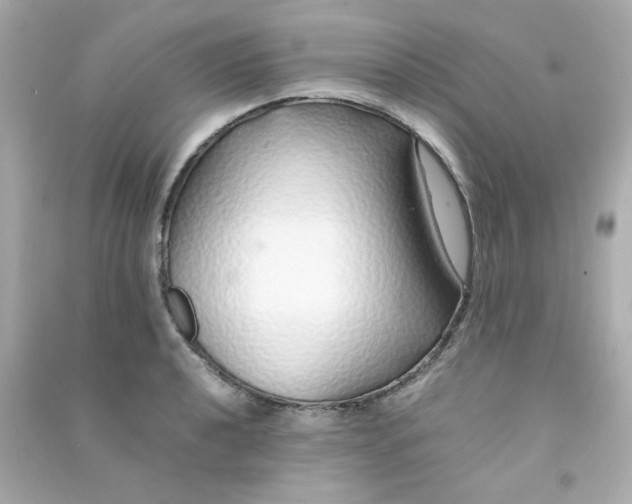 X0000090451040200708102045