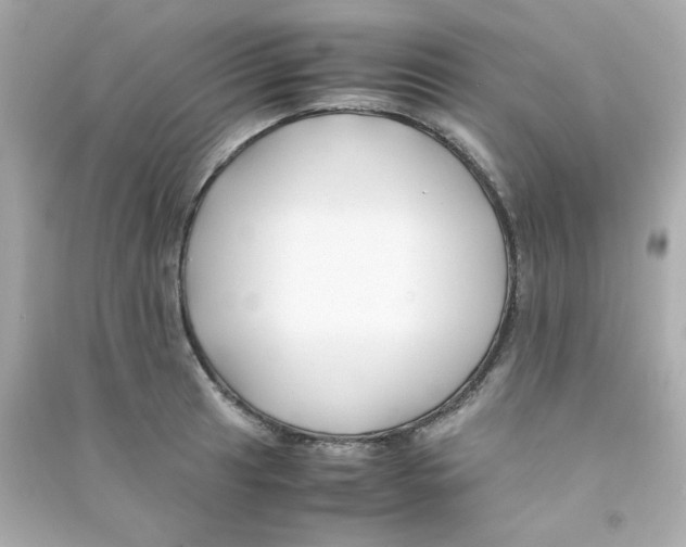 X0000090451041200708102045