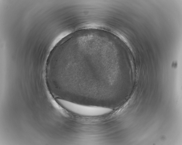 X0000090451042200708102045