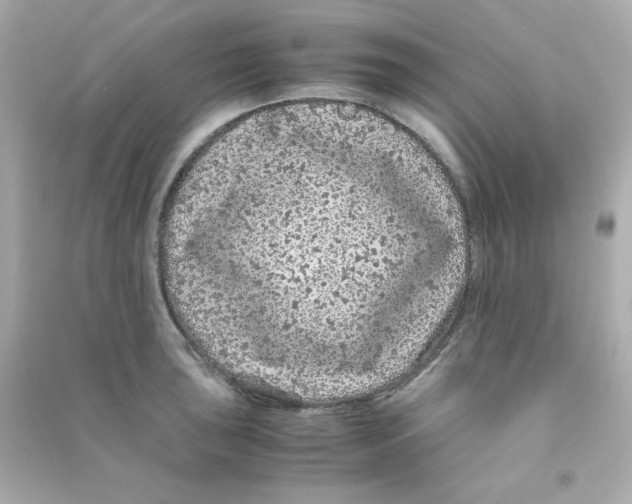 X0000090451043200708102045