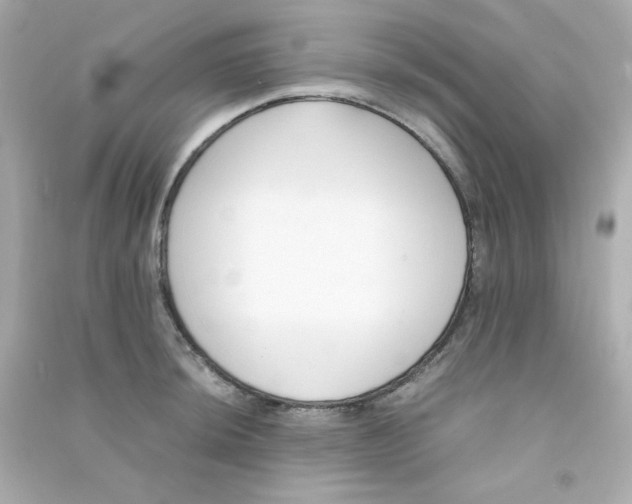 X0000090451044200708102045