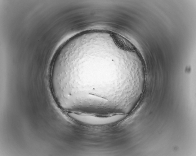 X0000090451045200708102045