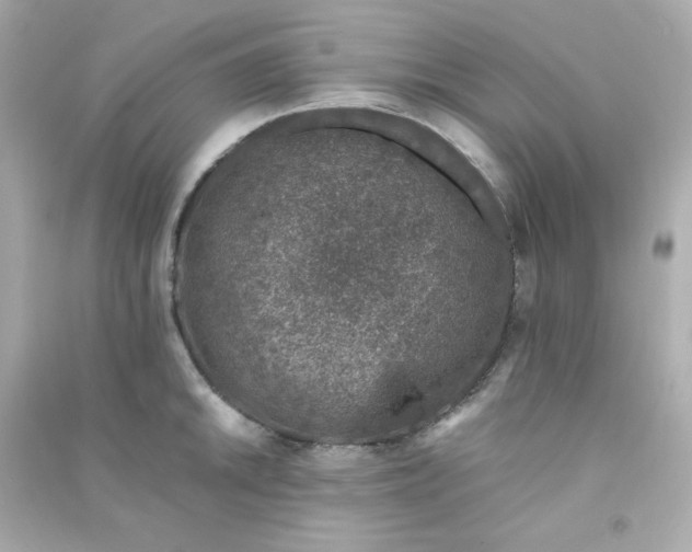 X0000090451046200708102045