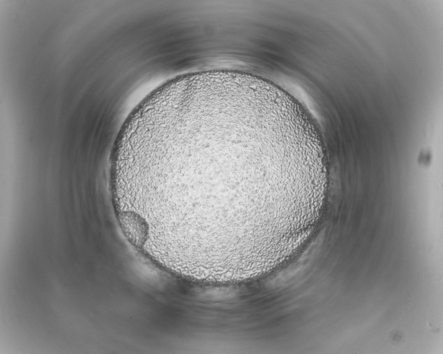 X0000090451047200708102045