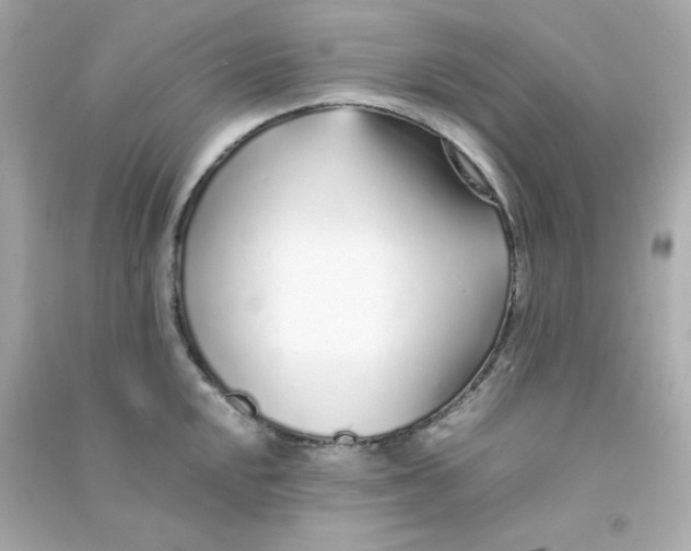 X0000090451048200708102045