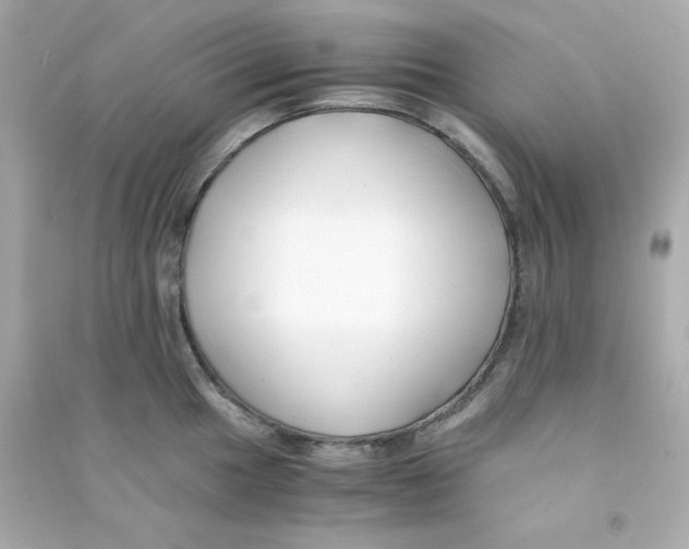 X0000090451049200708102045