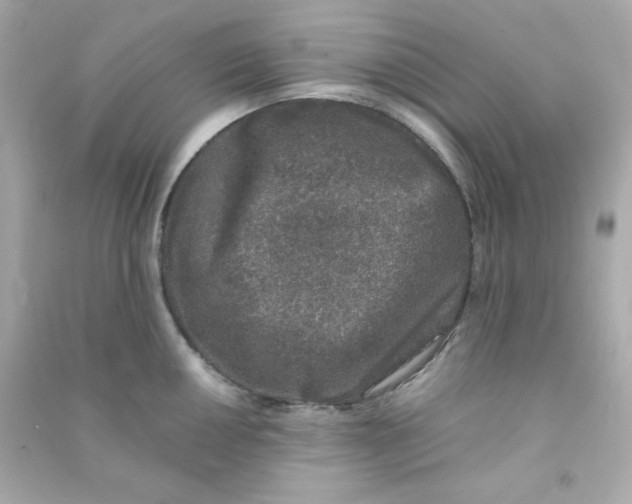 X0000090451050200708102045