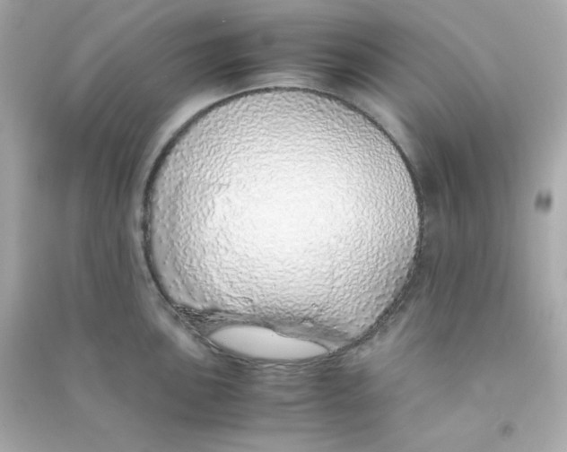 X0000090451051200708102045