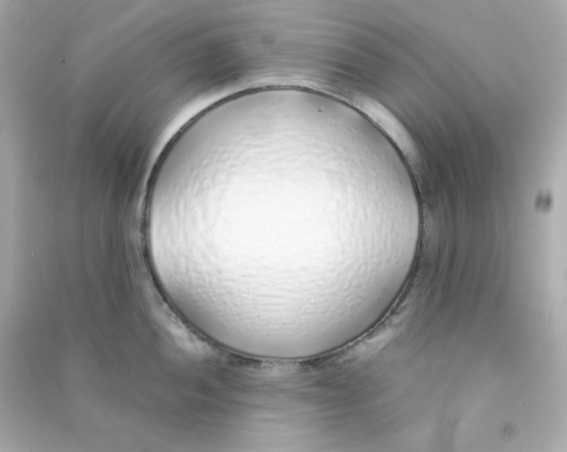 X0000090451052200708102045